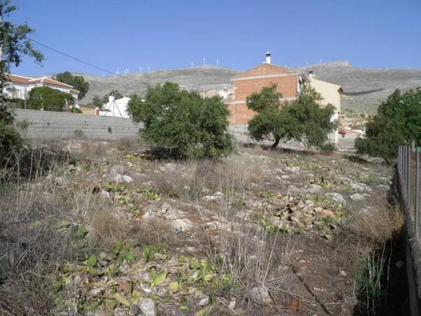 Spot image