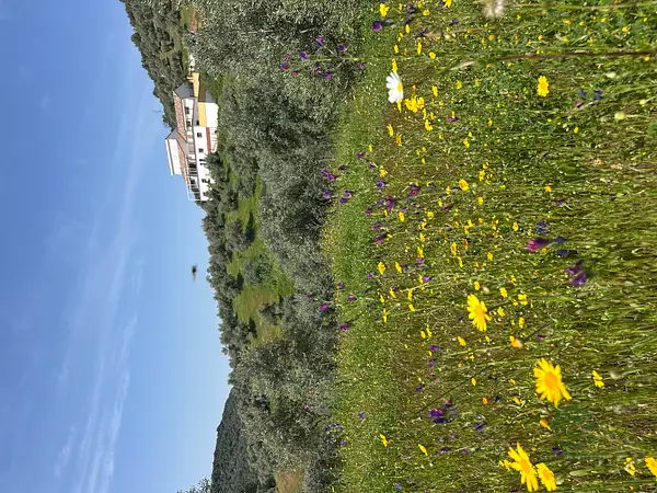 Rustic property of 8 ha for sale in Cordoba