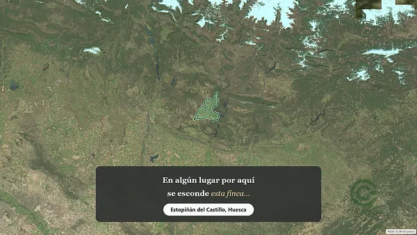 Spot image