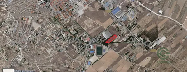 Spot image