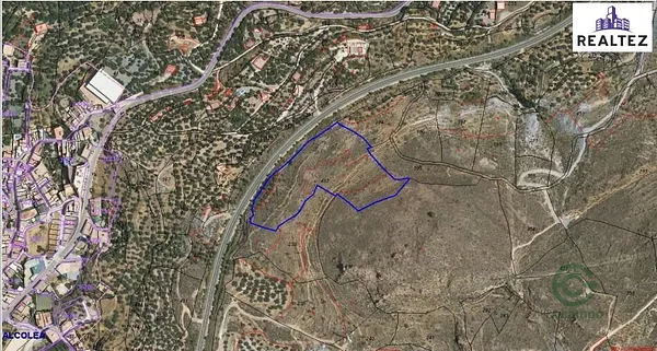 Spot image