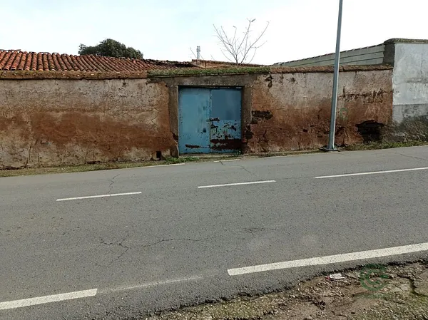 Spot image