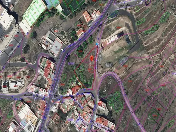 Spot image