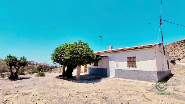 Spot image