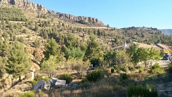 Spot image