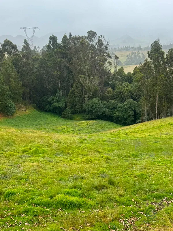 Finca rústica de 5 ha en venta en Cundinamarca