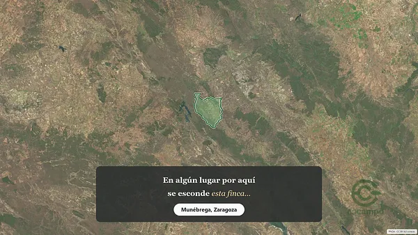 Spot image