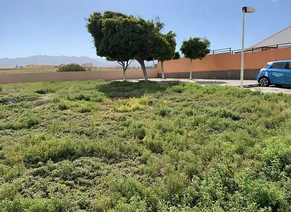 Terreno urbano de 0,0419 ha en venta en Telde, Las palmas