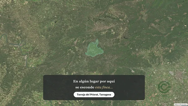 Spot image