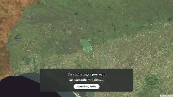 Spot image