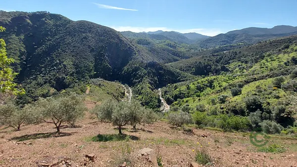 Spot image