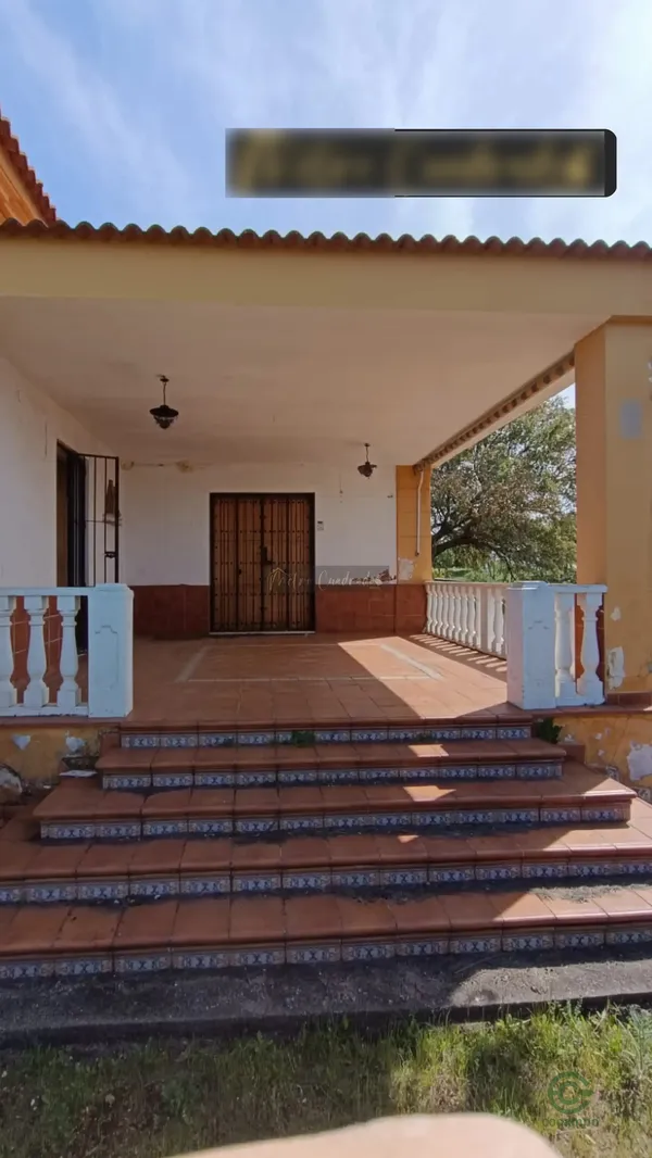 Spot image
