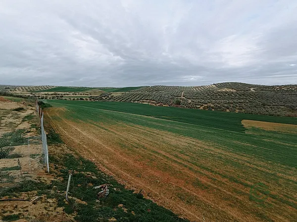 Spot image