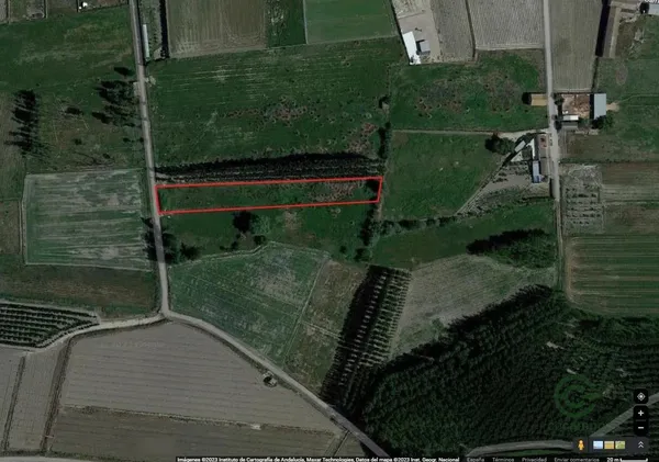 Spot image