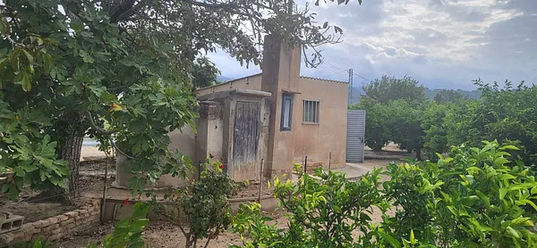Finca agrícola de 0,65 ha en venta en Tortosa, Tarragona