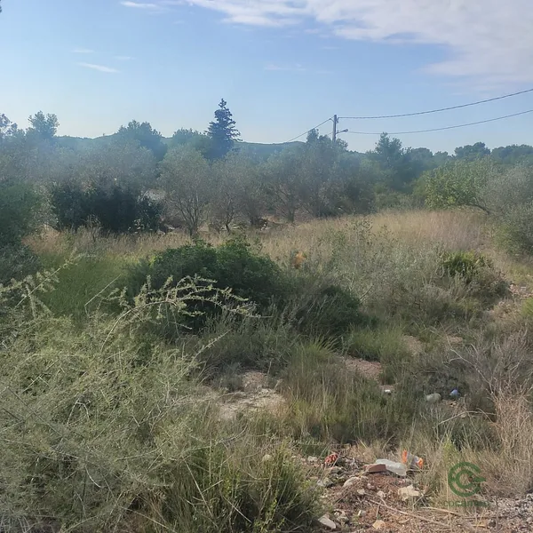 Spot image