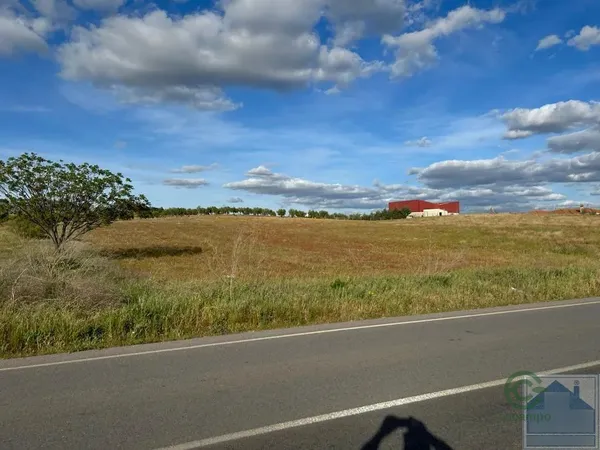 Spot image