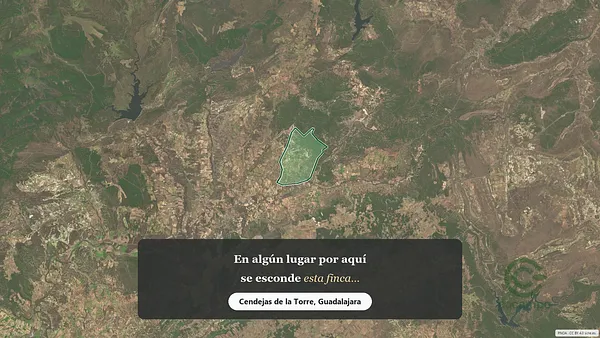 Spot image