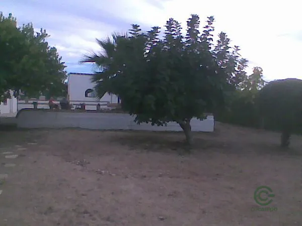 Spot image