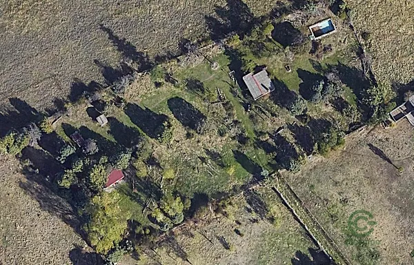Spot image