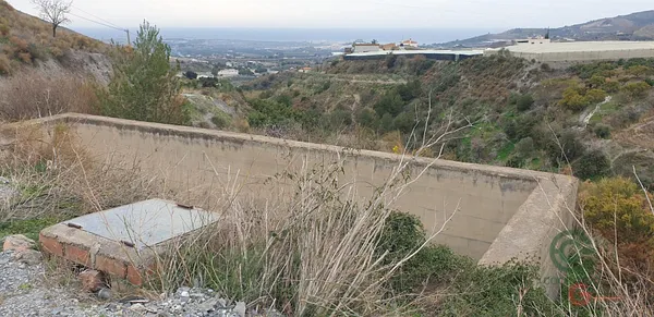 Spot image