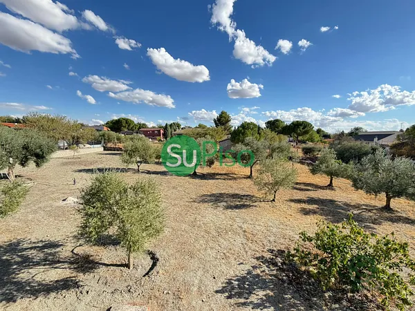 Spot image