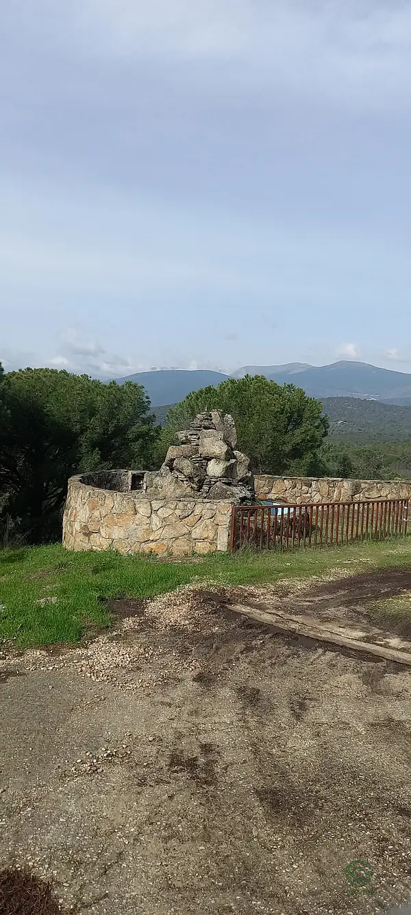 Spot image