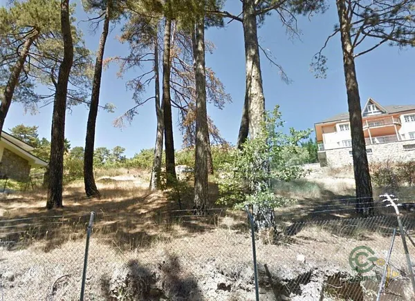Spot image