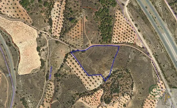Spot image