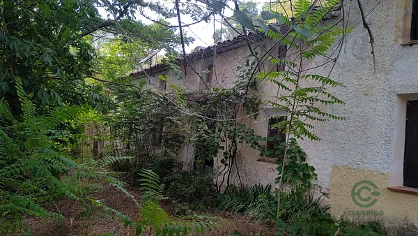 Finca rústica de 60 ha en venta en Siles, Jaén