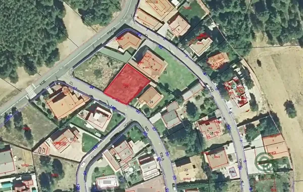 Spot image