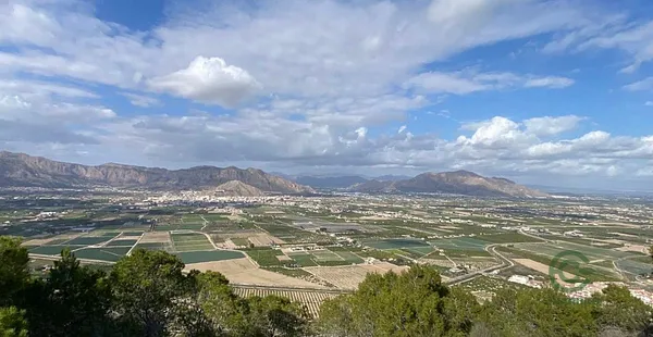 Spot image