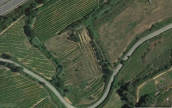 Spot image