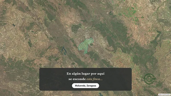 Spot image