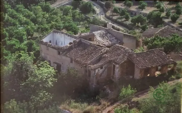 Spot image