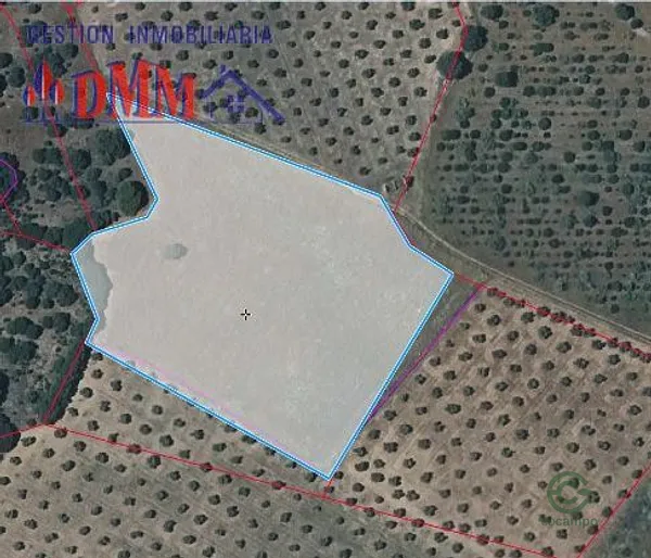 Spot image