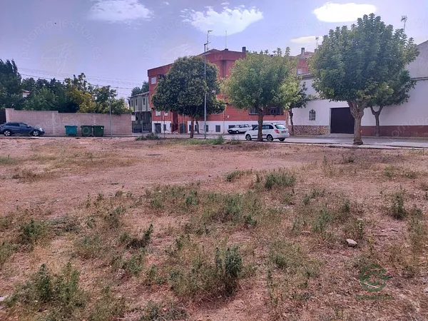 Spot image