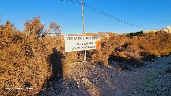 Spot image