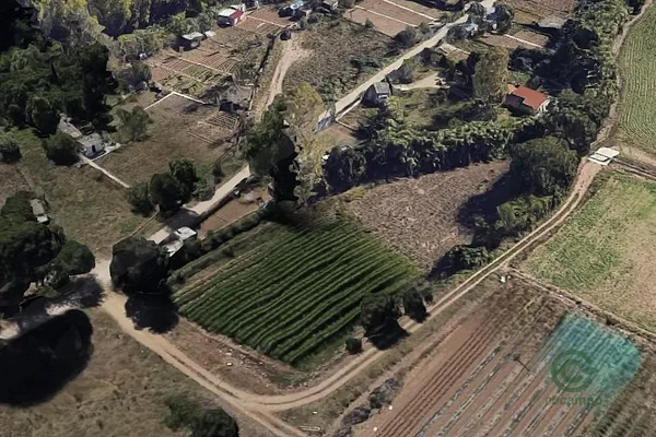 Spot image
