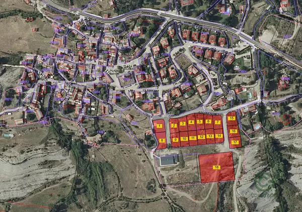 Spot image