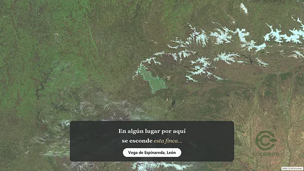 Spot image
