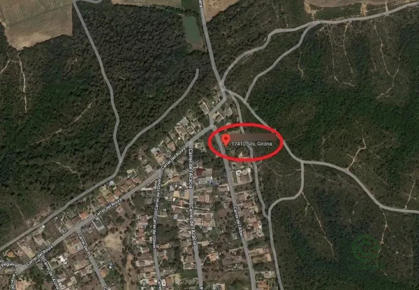 Spot image