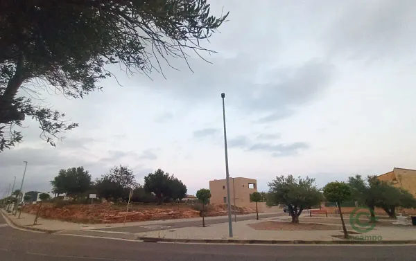 Spot image