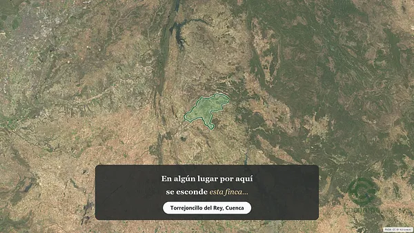 Spot image