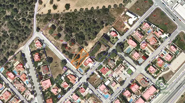 Spot image