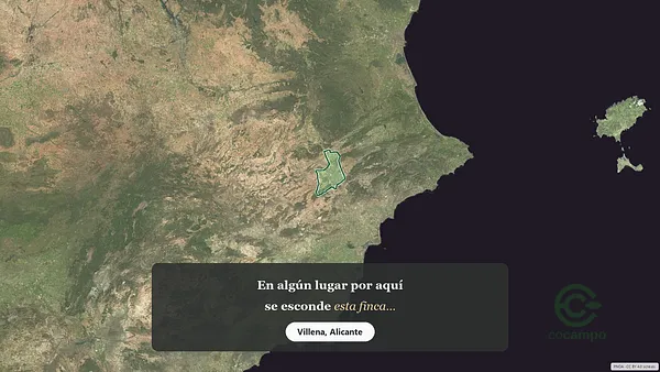 Spot image