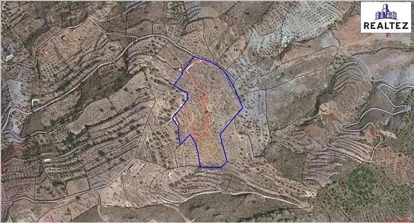 Spot image