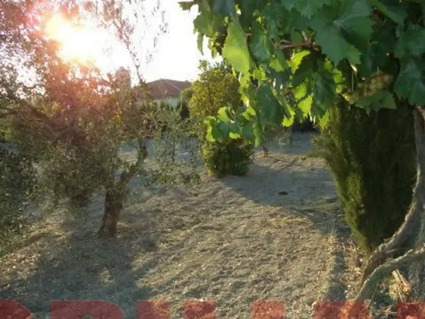 Spot image