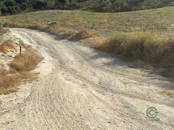 Finca rústica de 86,6 ha en venta en Puerto Serrano, Cádiz