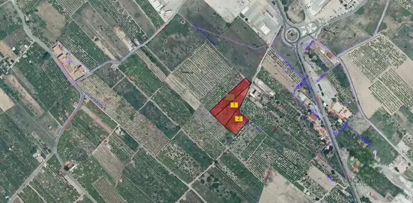 Finca agrícola de 0,8161 ha en venta en Burriana, Castellon